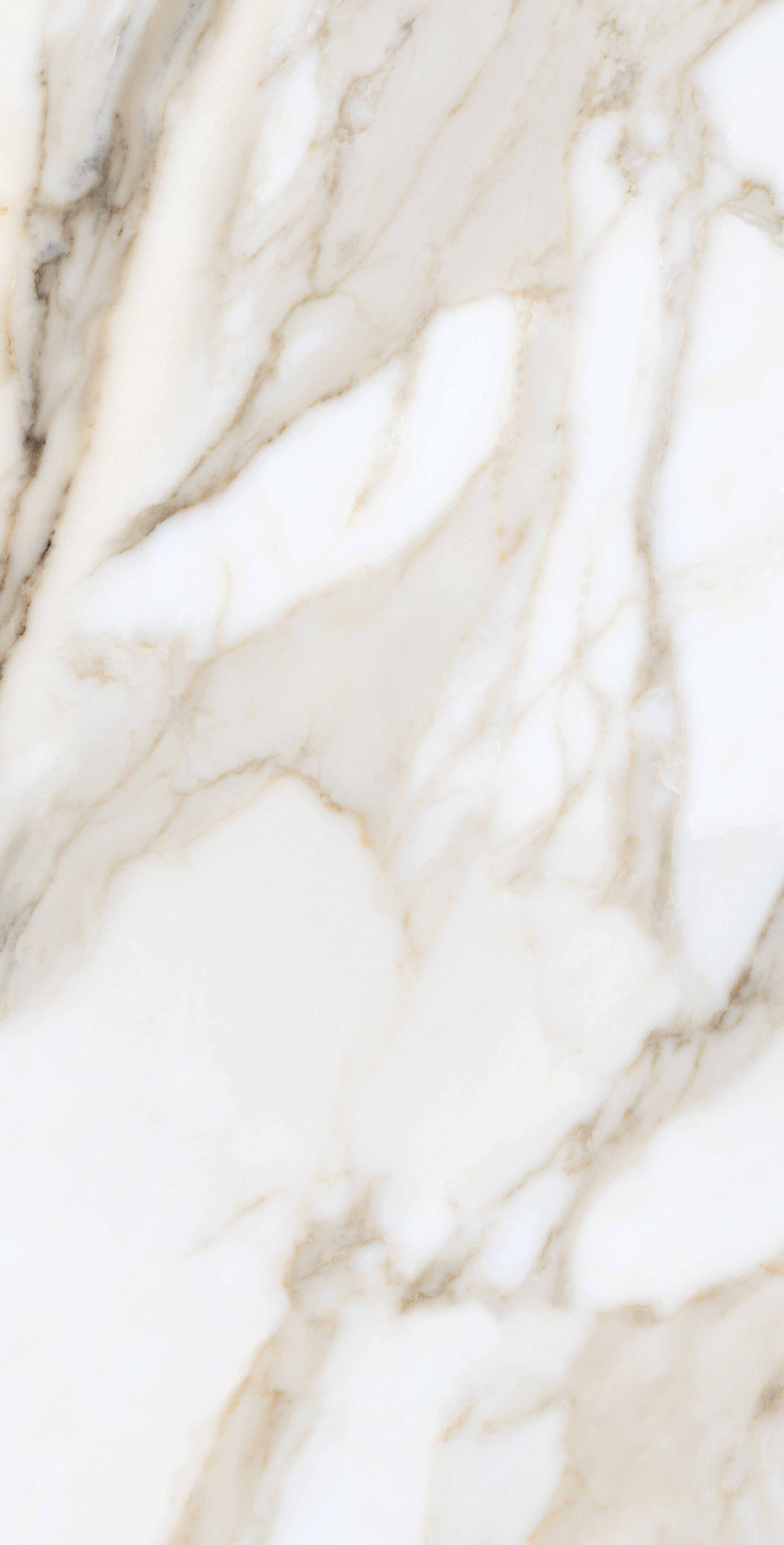 80x160 Calacata Gold Polished Гранит керамический