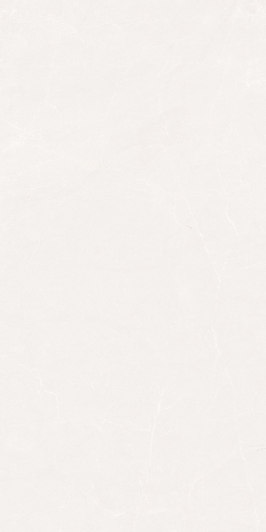 60x120 Canto White Matt Гранит керамический